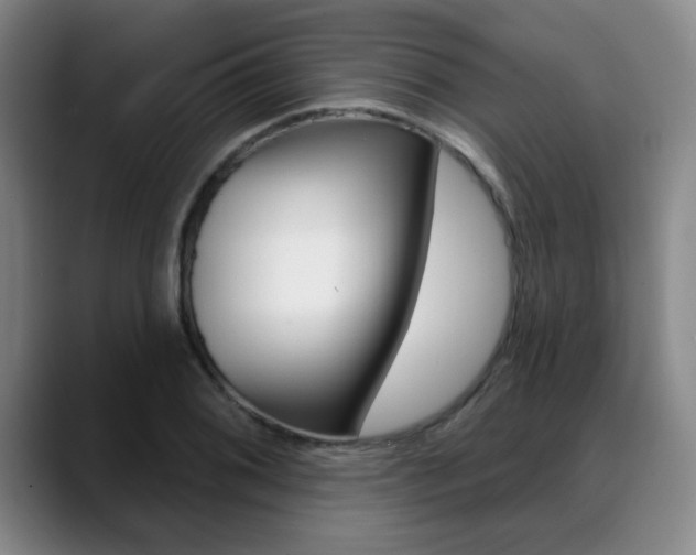 X0000089381076200706150906