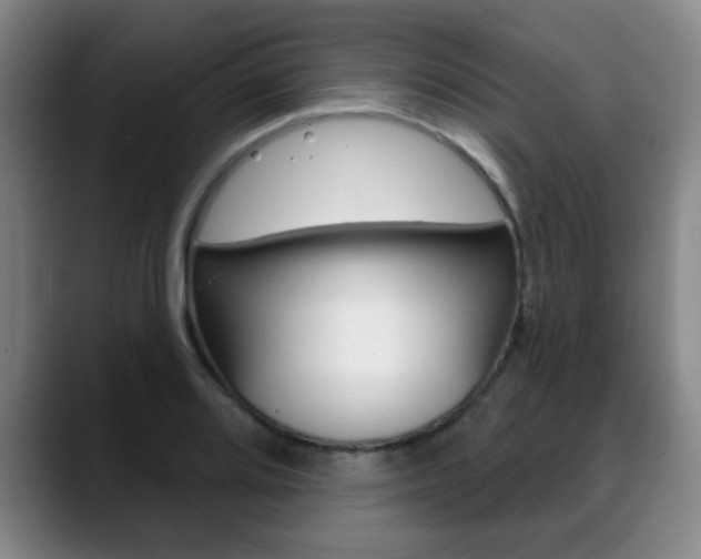X0000089381080200706150906