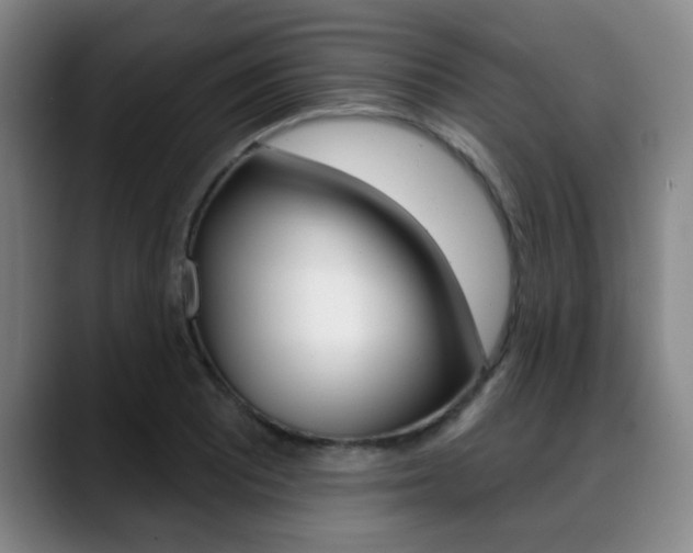 X0000089381081200706150906
