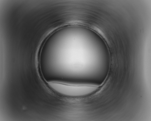 X0000089381082200706150906
