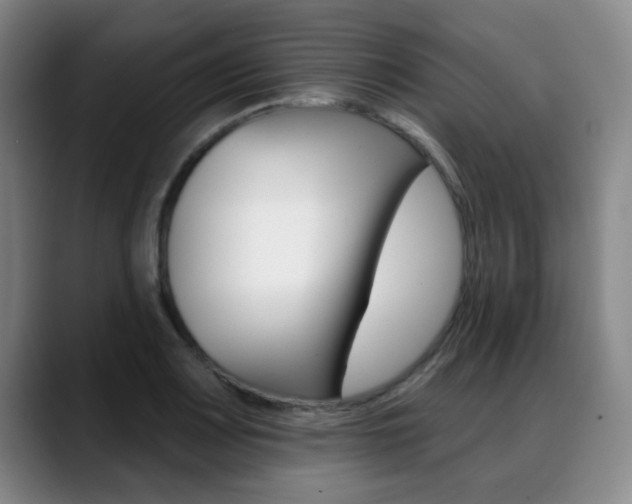 X0000089381083200706150906