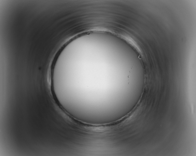 X0000089381084200706150906