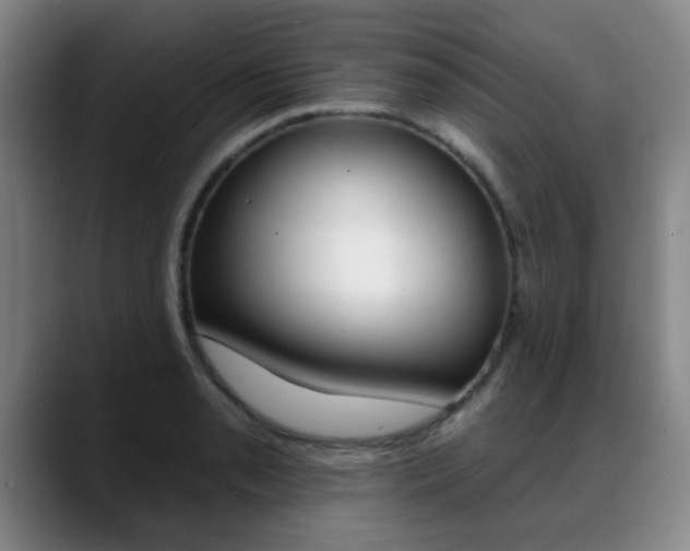 X0000089381085200706150906