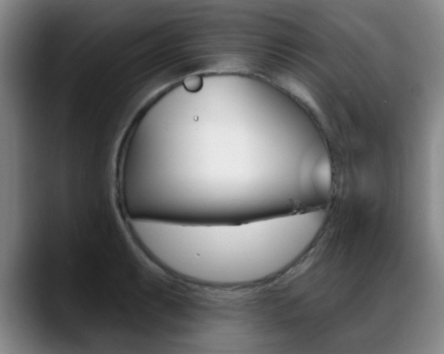 X0000089381087200706150906