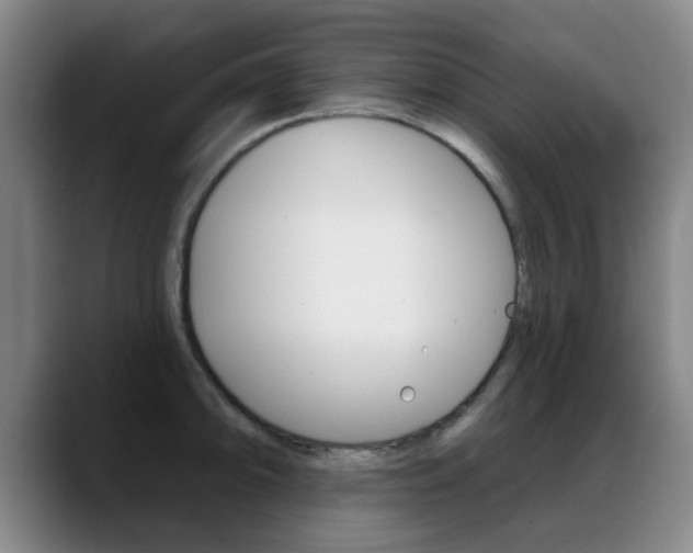 X0000089381094200706150906