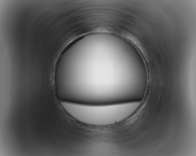 X0000089381097200706150906