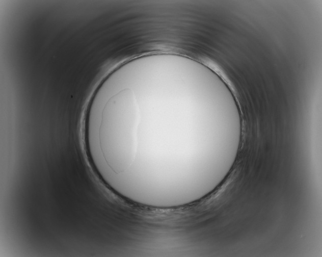 X0000089381098200706150906