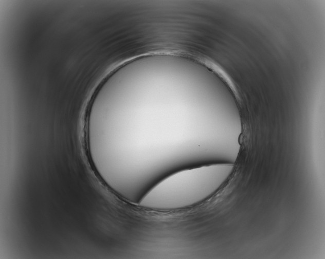 X0000089381099200706150906