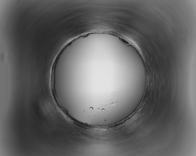 X0000089381103200706150906