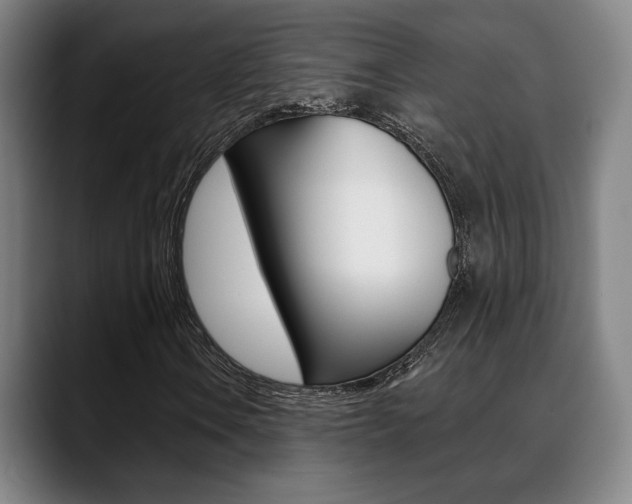 X0000089381106200706150905