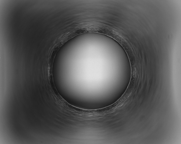 X0000089381108200706150905