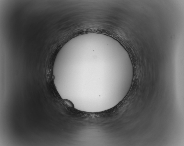 X0000089381109200706150905