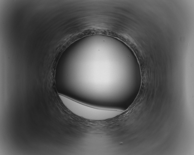 X0000089381110200706150905