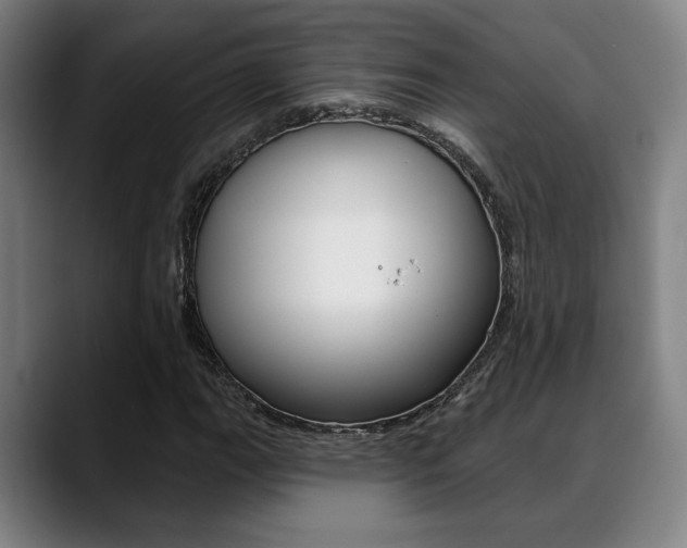 X0000089381111200706150905