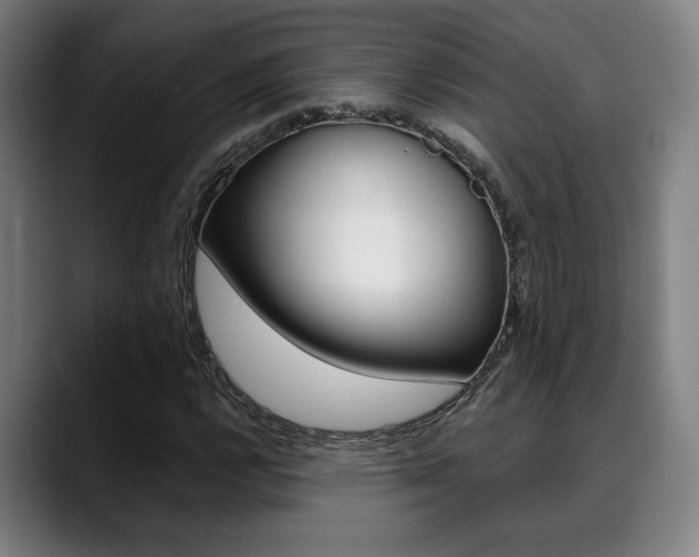 X0000089381112200706150905
