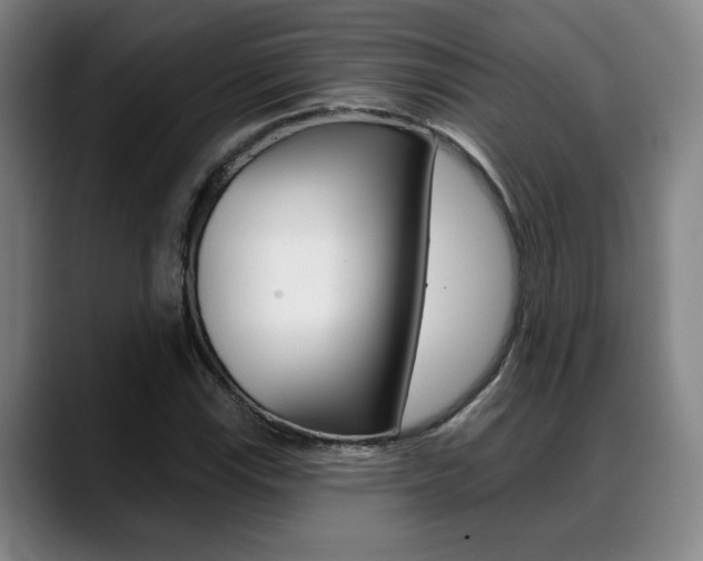 X0000089381115200706150905