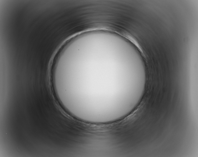 X0000089381116200706150905