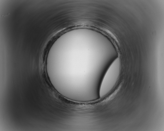X0000089381117200706150905