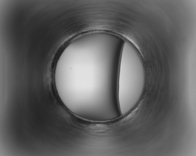 X0000089381119200706150905