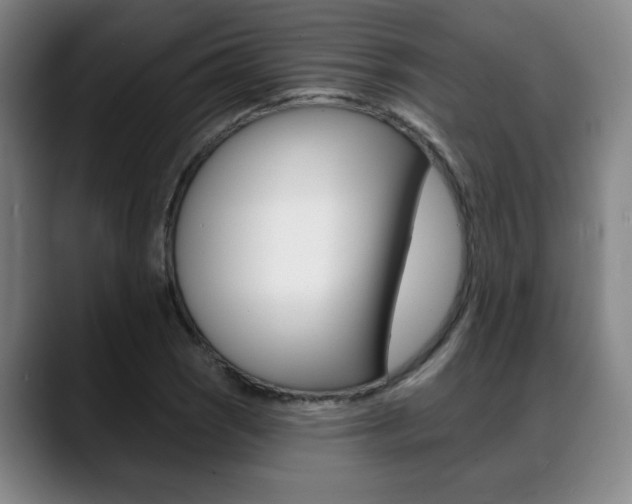 X0000089381121200706150905
