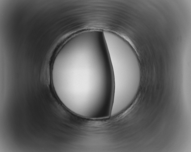 X0000089381123200706150905
