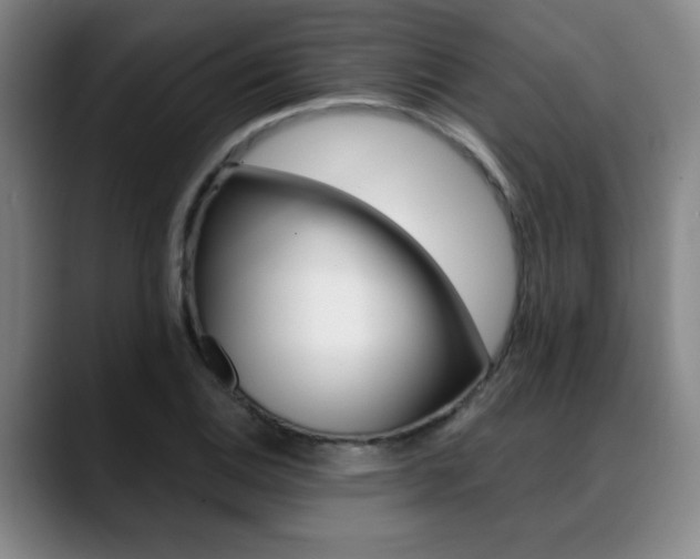X0000089381124200706150905