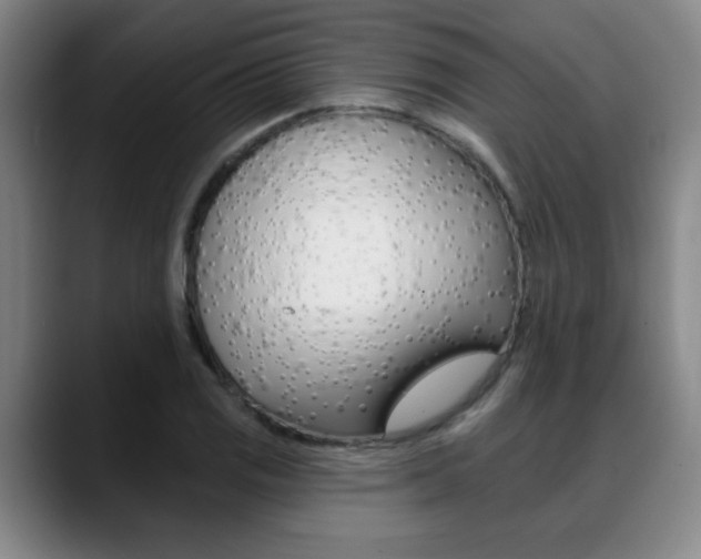 X0000089381125200706150905