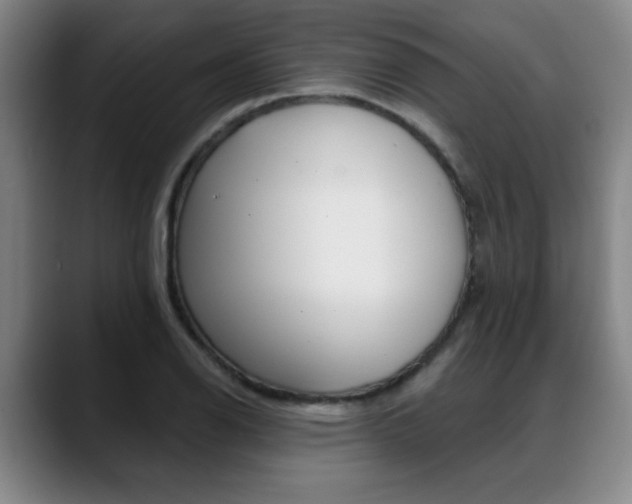 X0000089381126200706150906
