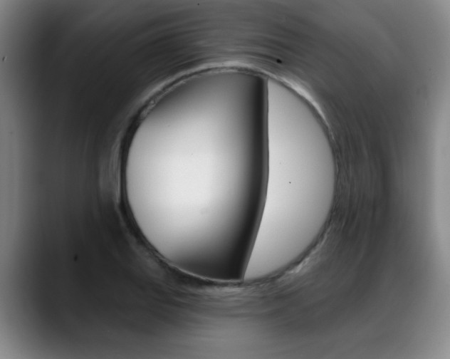 X0000089381127200706150906