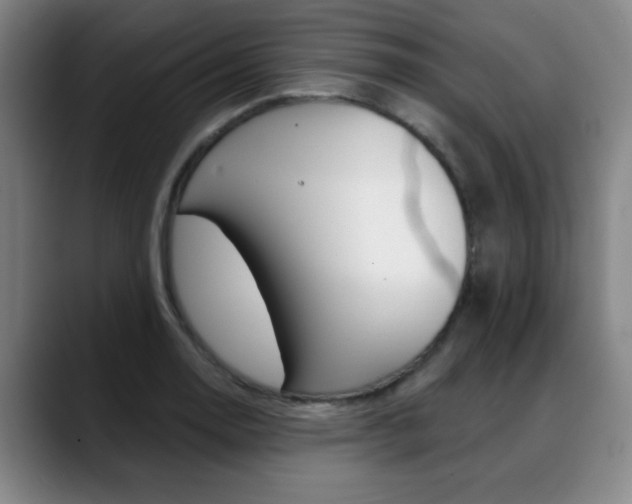 X0000089381130200706150906
