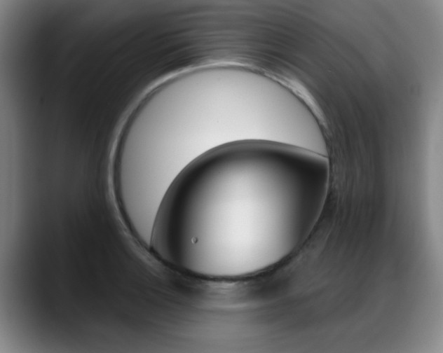 X0000089381132200706150906
