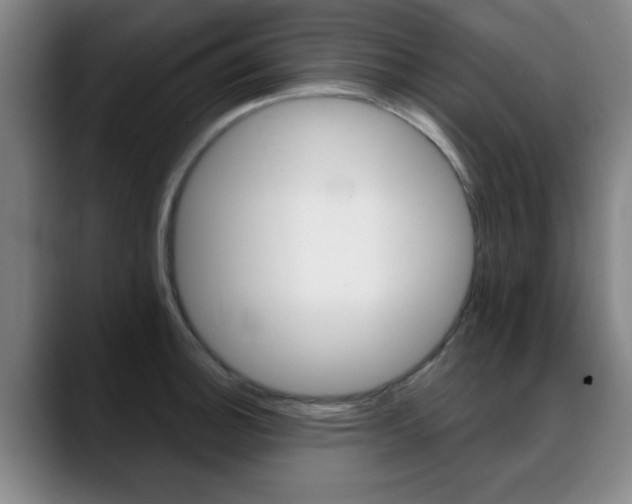 X0000089381140200706150906