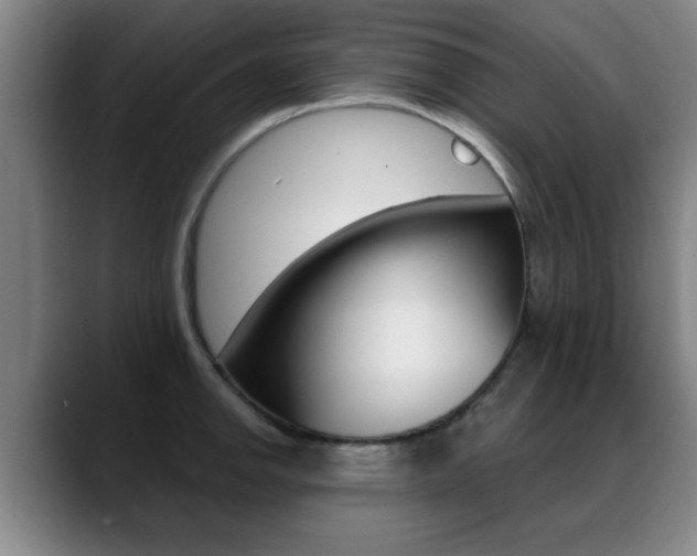 X0000089381142200706150906