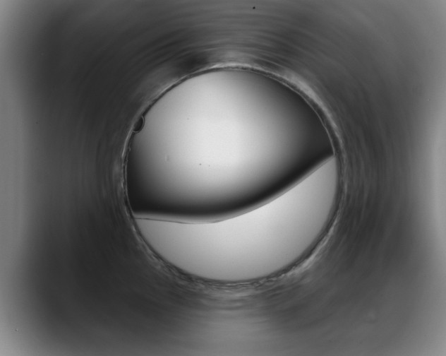 X0000089381145200706150906