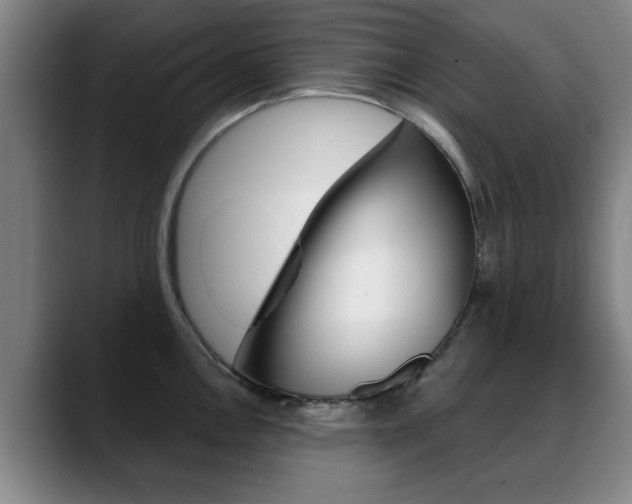 X0000089381146200706150906