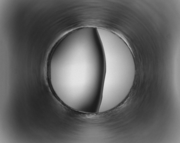 X0000089381147200706150906