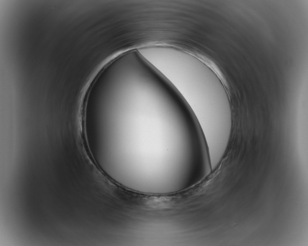 X0000089381148200706150906