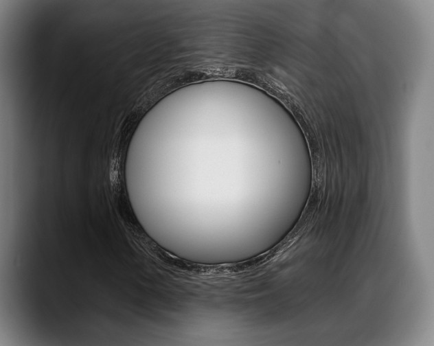 X0000089381154200706150905
