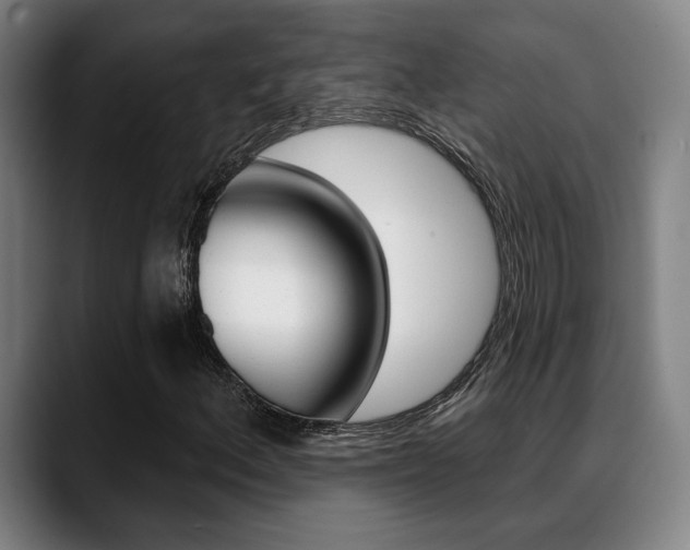 X0000089381156200706150905