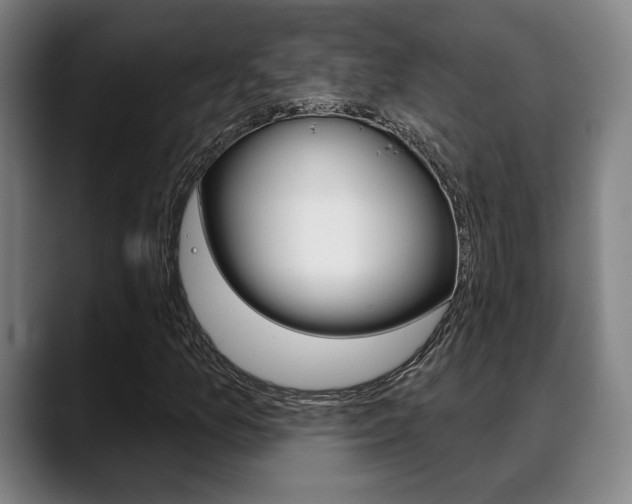X0000089381157200706150905