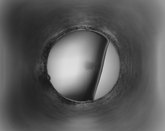 X0000089381159200706150905