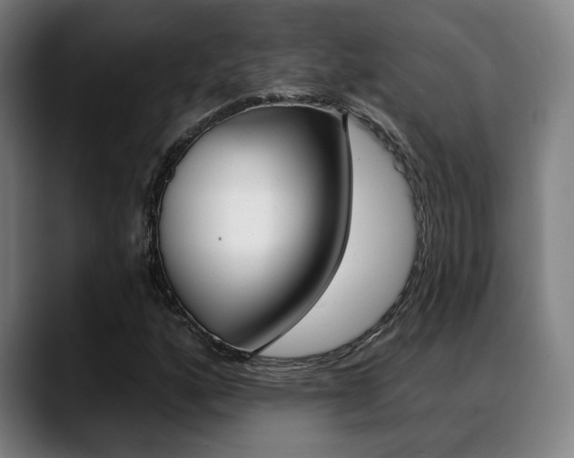 X0000089381160200706150905