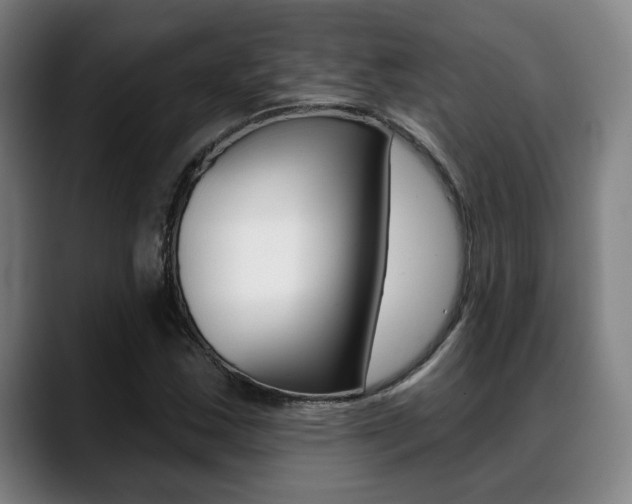 X0000089381163200706150905