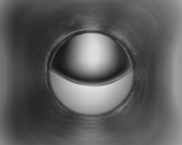 X0000089381168200706150905