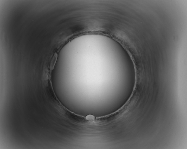 X0000089381169200706150905