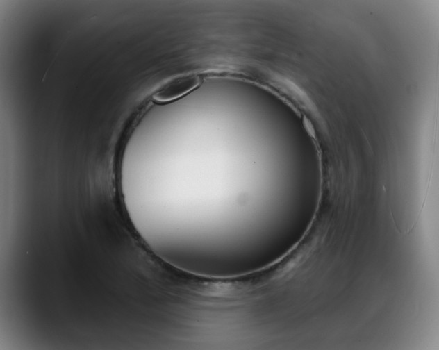 X0000089381172200706150905