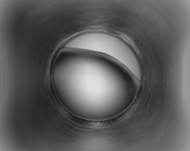 X0000089381176200706150905