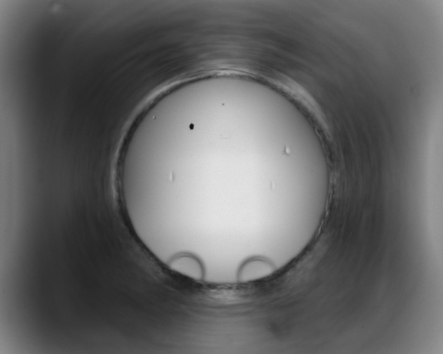 X0000089381182200706150905