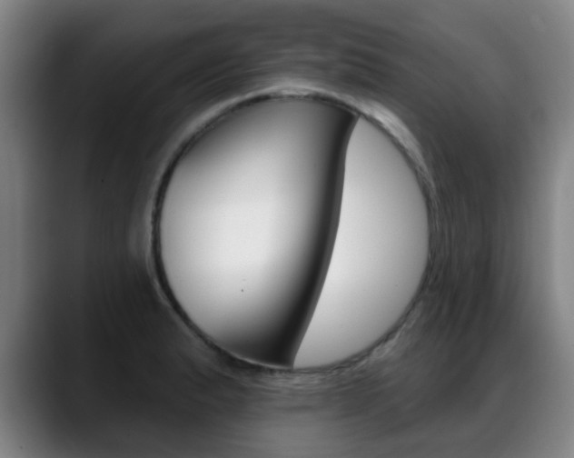 X0000089381183200706150905