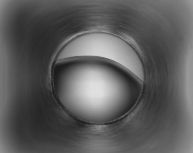 X0000089381184200706150905